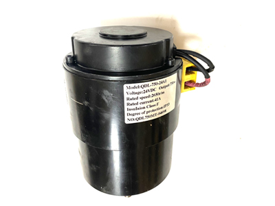 Permanent Magnet Motor 200 Watt Electric DC Motor for Electrical Vehicles 12V 24V