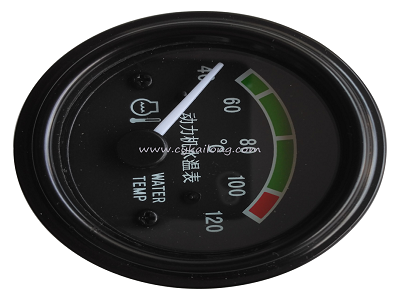 Gauge voor Changlin wiellader Hoge kwaliteit en lage prijs Zl30 Zl50 937 957