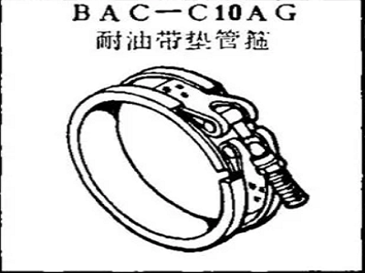 BAC-C10AG Boeing Oil Resistant Gasket Hoop