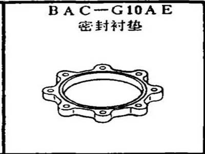 BAC-G10AE Boeing-Dichtung
