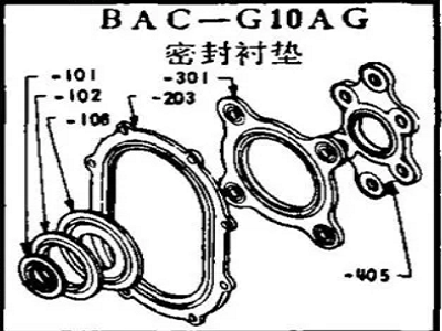 BAC-G10AG boeing gasket