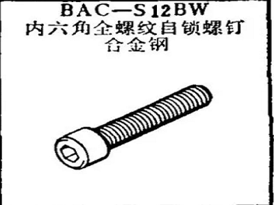 BAC-S12BW بوئنگ ہیکساگون ساکٹ ہیڈ مکمل تھریڈڈ سیلف لاکنگ سکرو، الائے سٹیل