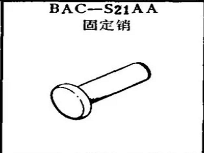 BAC-S21AA boeing pin