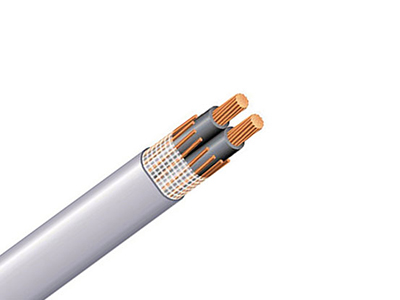 Kabel Pintu Masuk Layanan Tembaga (SE).