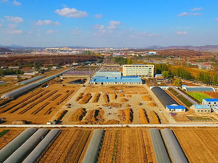 Dalian Tianpeng Food Co., Ltd