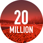 Площадь посадки