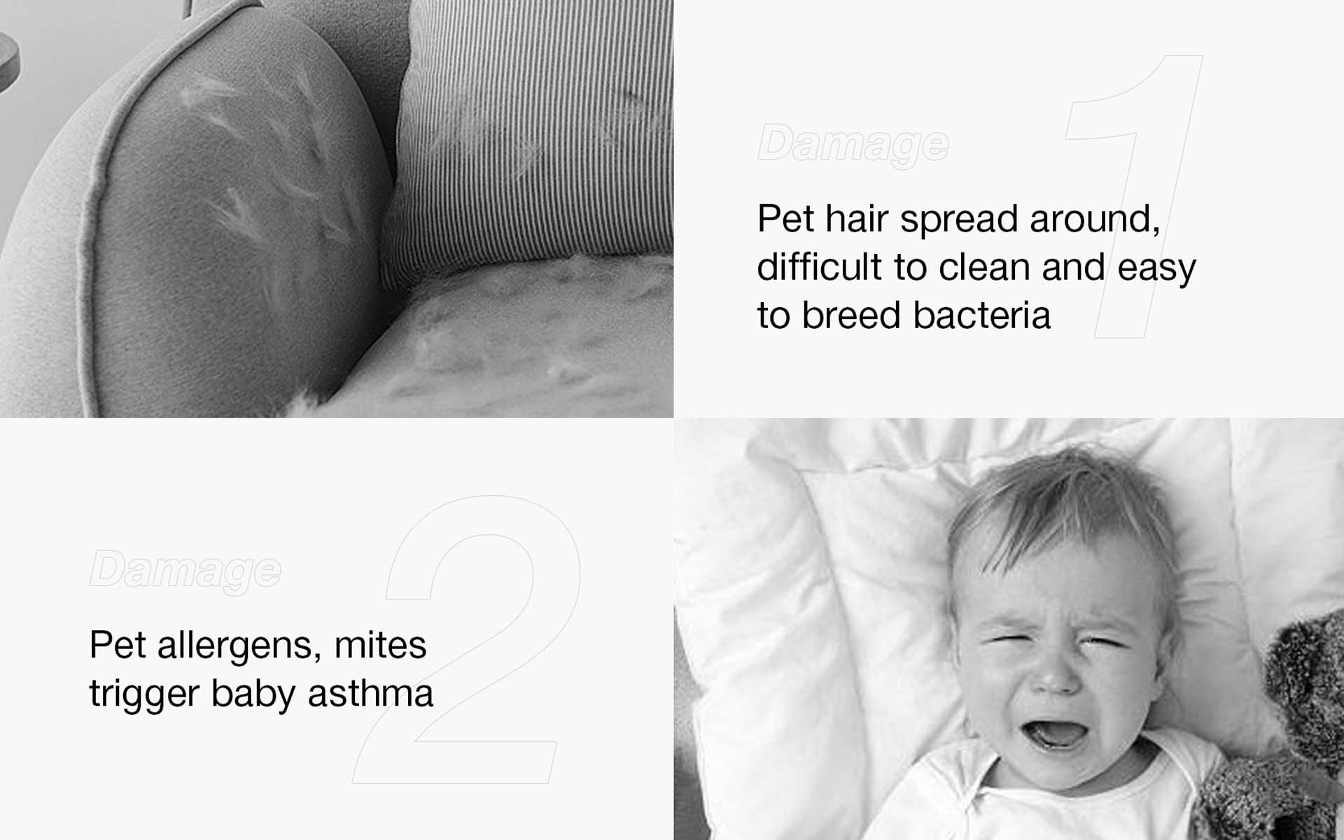Pet hair spread around,difficult to clean and easyto breed bacteria JIMMY BX7