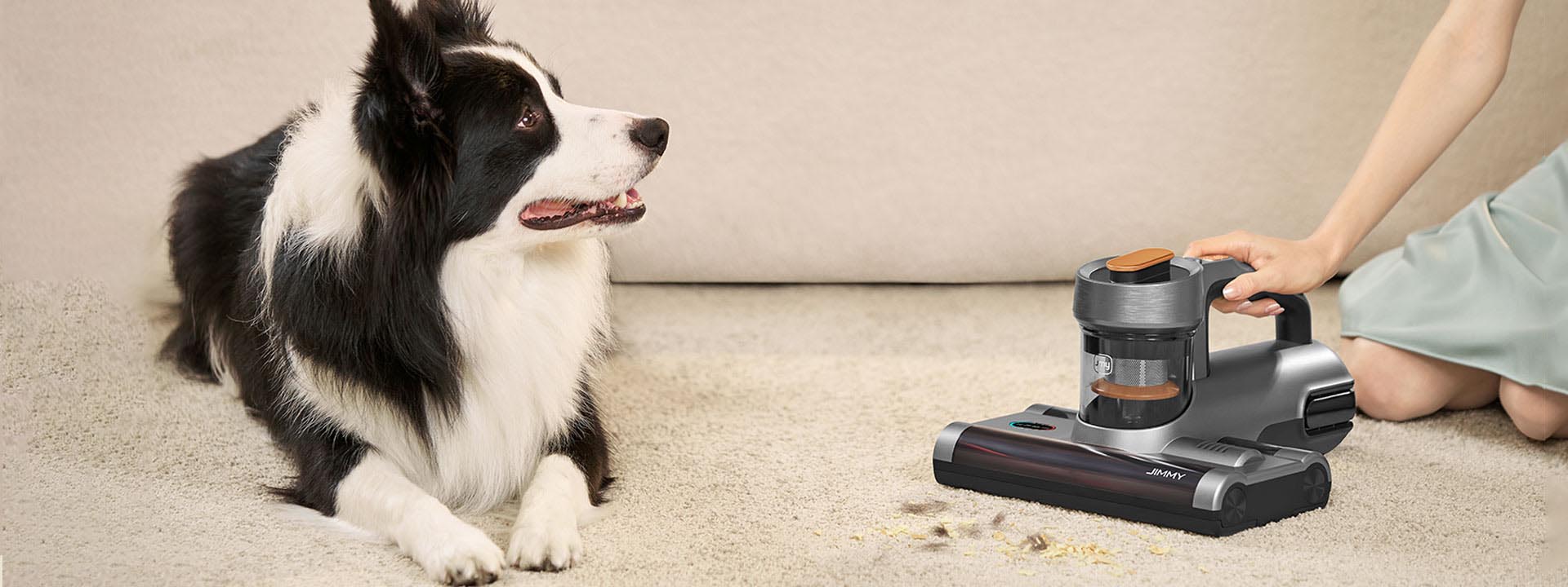JIMMY BX7 deeply clean pet hair and allergens