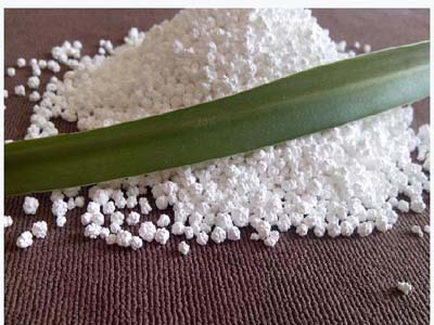 图片1 副本副本 副本副本