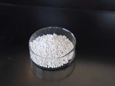 图Photo2 副本副本副本