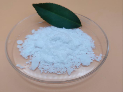 图片3 副本副本