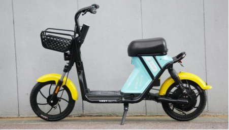 popularity of electrical bicycle