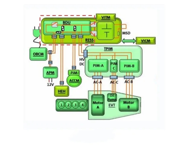 Location and structure of BDU