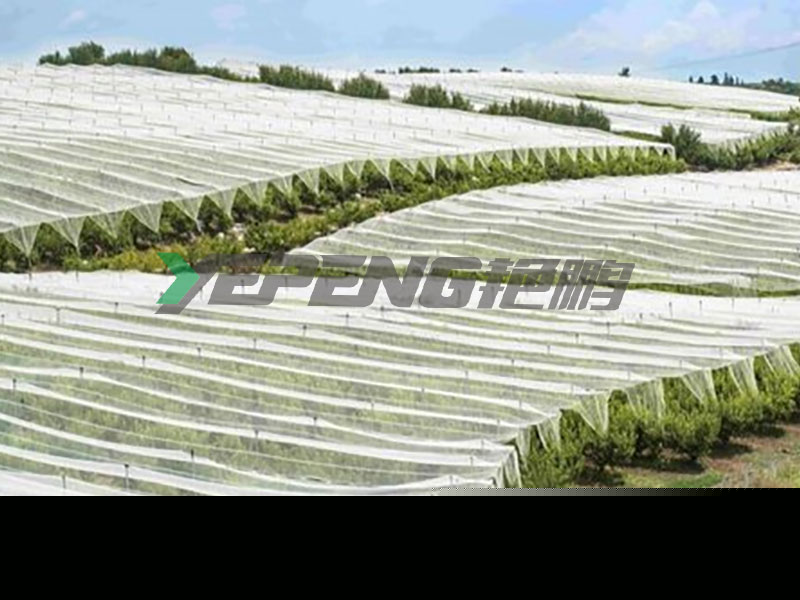 UV-behandelt Nonwoven Stoff an der Landwirtschaft