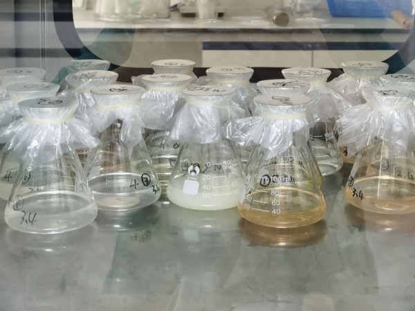 Chloroxylenol: Uses, Interactions, Mechanism of Action