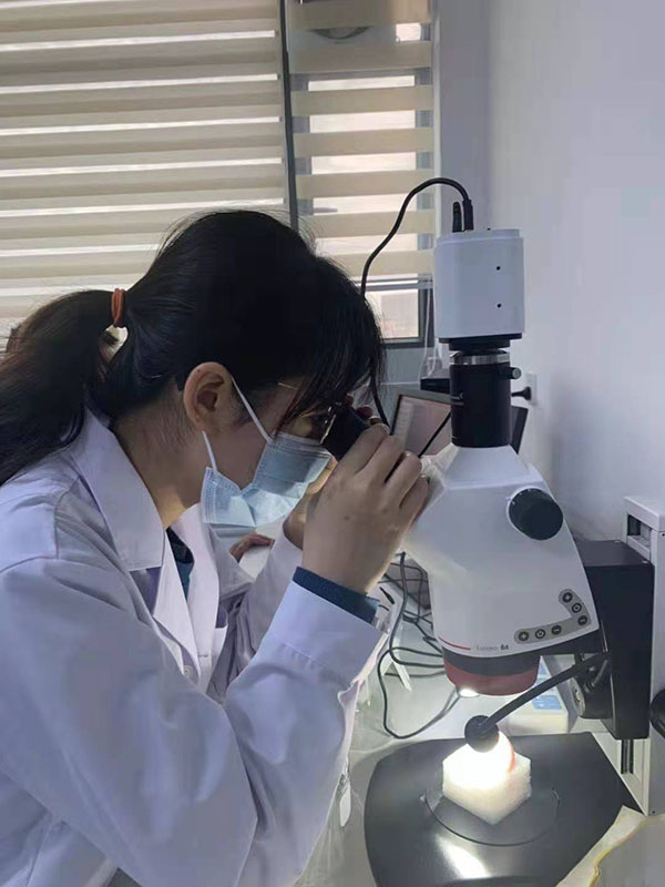 实验室7-8有人的照片二选一或者都放，看排版情况