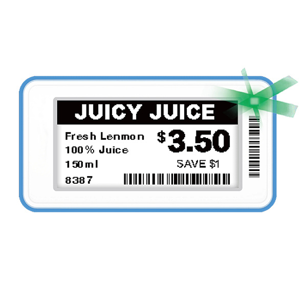 Enhancing Reading Skills with ESL E Ink Technology