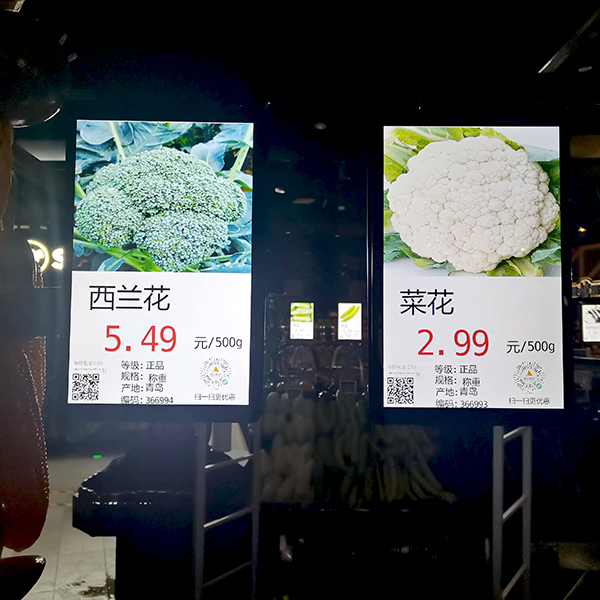 Harnessing the Power of Technology with Dynamic LCD Signage Displays