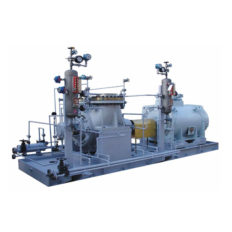 API 610 tussen lagerpomp (HBR)