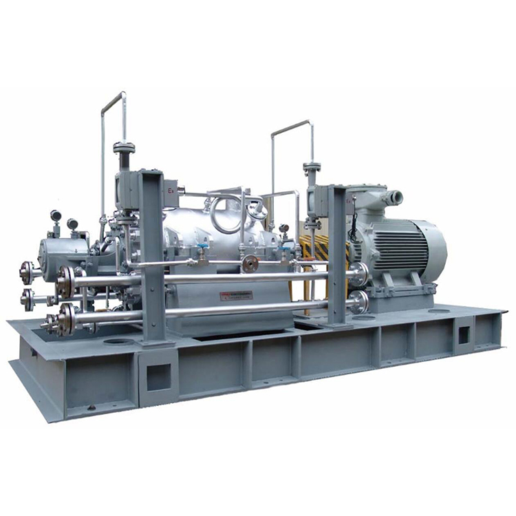 API 610 pomp met dubbele behuizing (HBB)