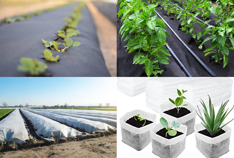 Como o tecido não tecido é utilizado na agricultura?