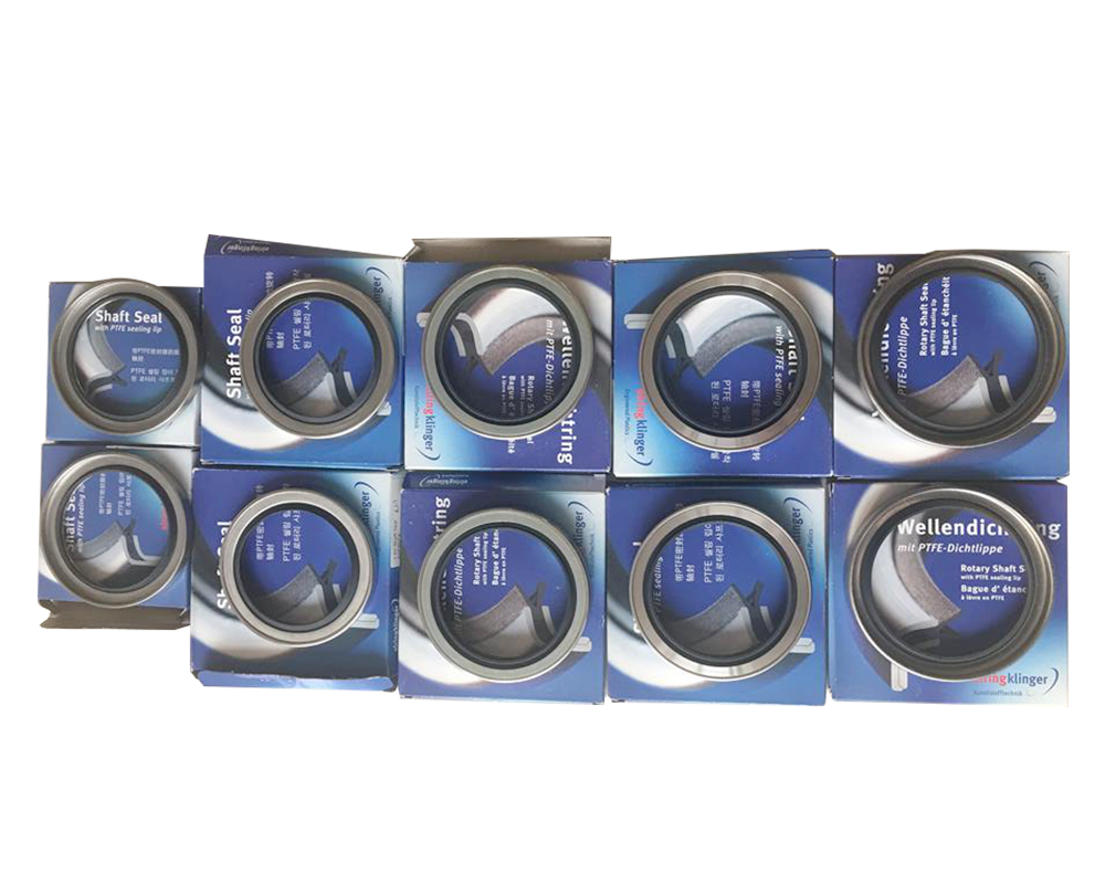 Sellos de aceite y motor