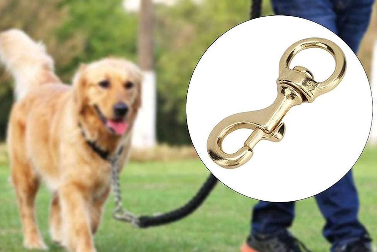 Gancio in ottone: la scelta robusta, elegante e affidabile per i guinzagli degli animali domestici.