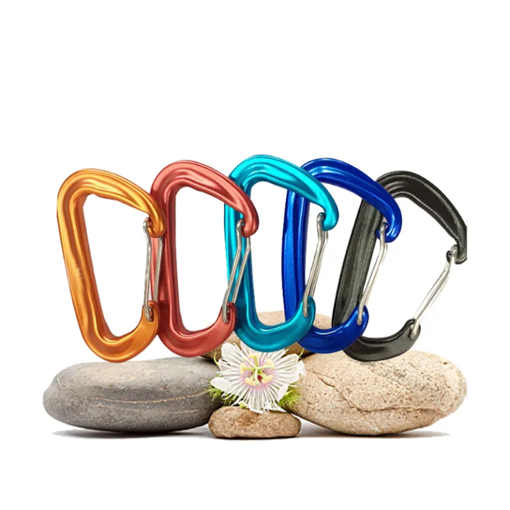 Carabiner Hook 2 3