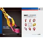 G80 Swivel Hoist Ring