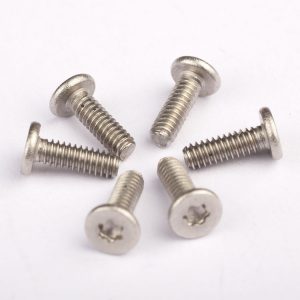 What is the salt spray test of the torx stainless screws?