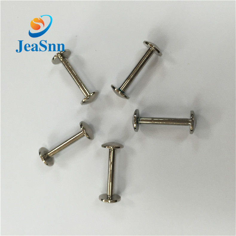 China Manufactory Stainless Steel Binding Screws