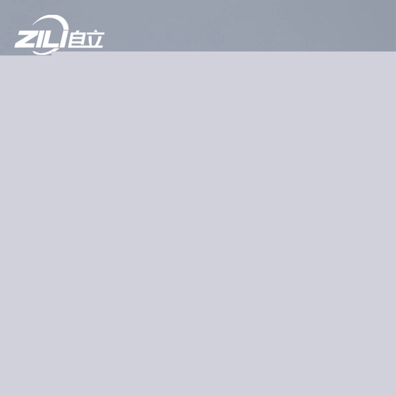 Custom <a class='inkey' href='https://www.zilill.com/Pet-food-bag-zipper/customized-environmental-pe-slider-zipper-for-pet-food-packing' target='_blank'>slider zipper</a> Bags Supplier for Food Packaging