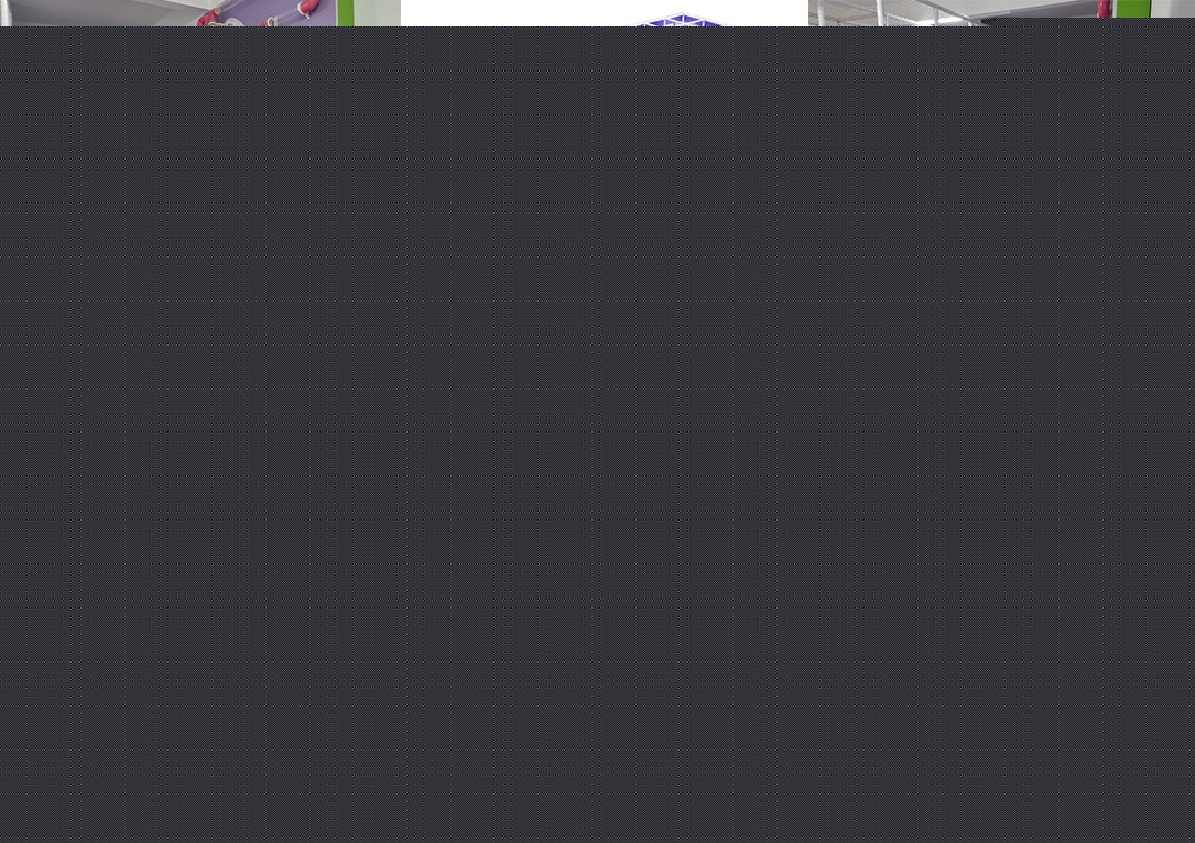 内容
