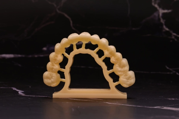 Oral Health Standards