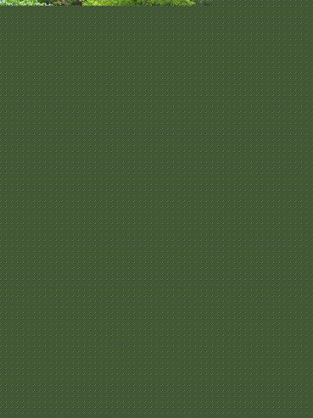 1654657856683198