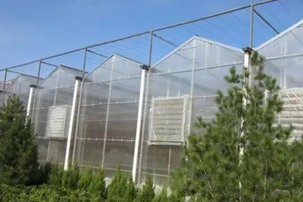 Is PC Sunshine Board 'n goeie materiaal vir kweekhuise