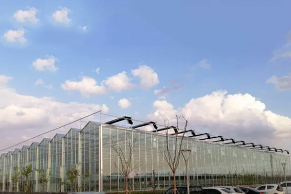 Wanneer jy 'n kweekhuis bou, kies jy glasbedekking of rekenaar-sonpaneelmateriaal?