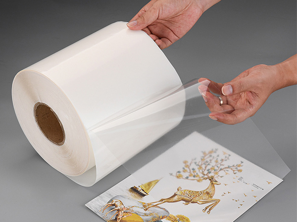 3 Key Ways to Ensure Your Frozen Labels Don’t Fade or Peel