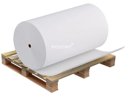 Customization Trends in PP Vinyl Stickers - Highlight the growing demand for personalized and customized PP Vinyl stickers in the market.